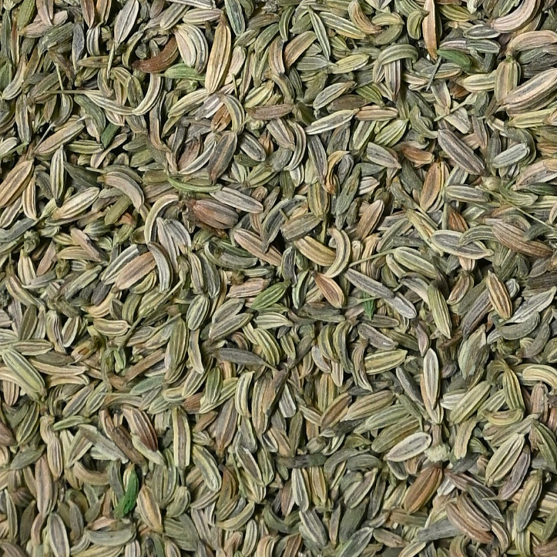 Fennel Premium