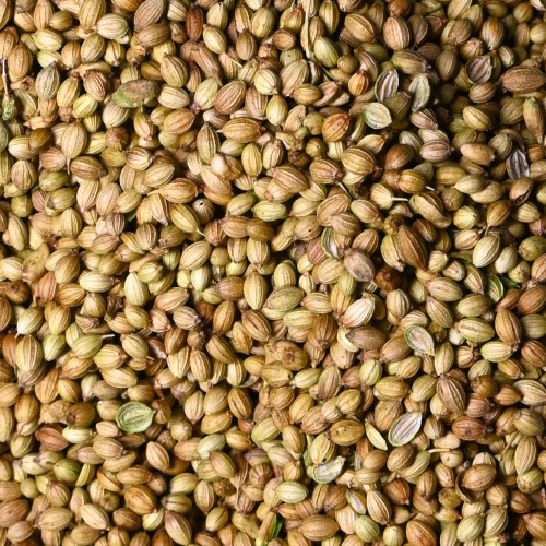 Whole Coriander Regular